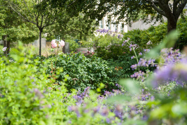 Parcs, jardins, squares et espaces verts - Ville de Paris