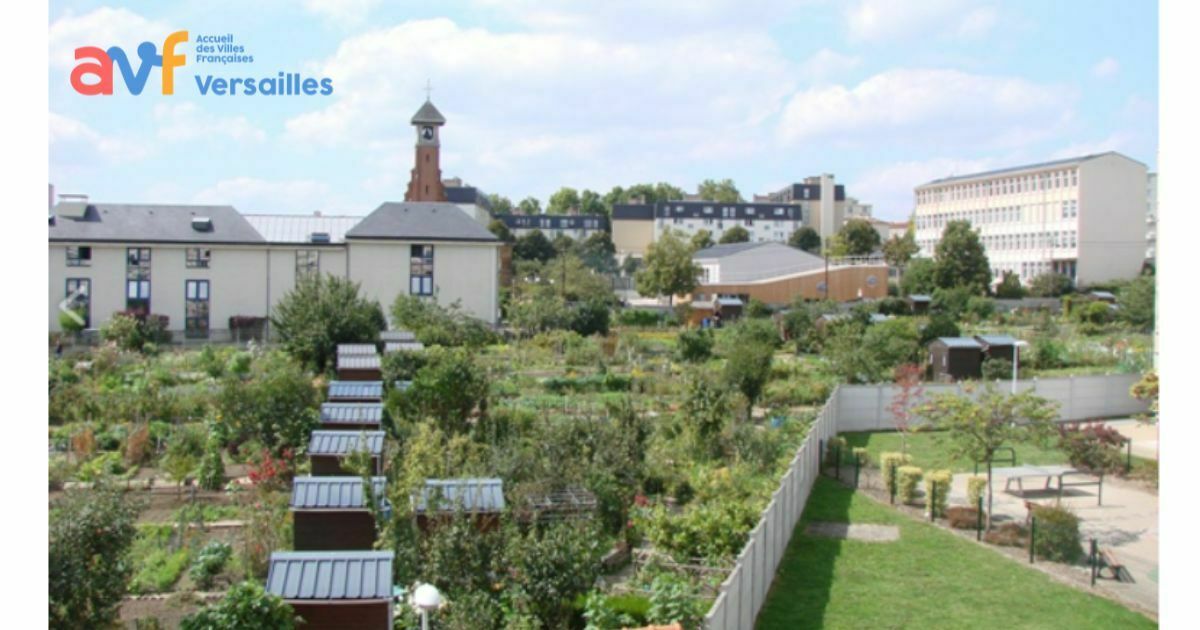 Balade accompagnée dans les Jardins familiaux de Versailles Petits-Bois (1/1)