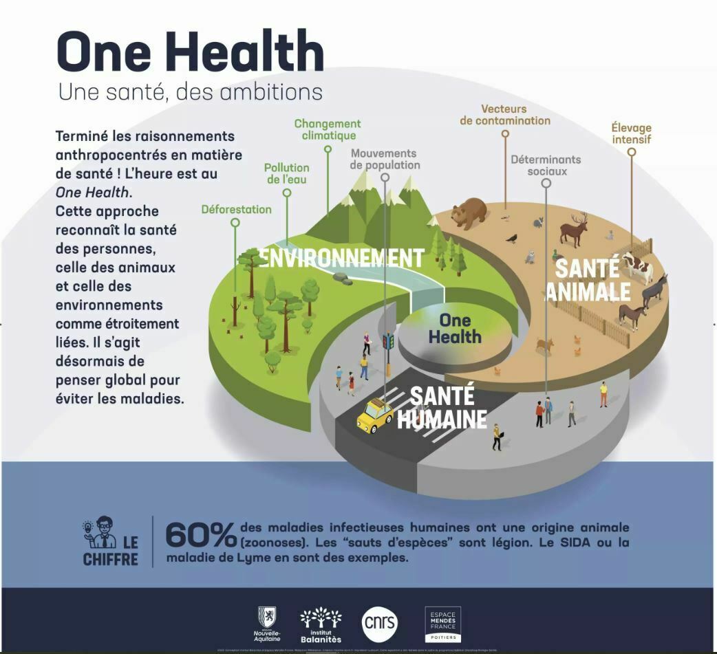 Expo/ One Health, une santé, des ambitions